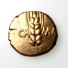 Catuvellauni Cunobelin Gold Stater 8-41AD Wild Type -15775