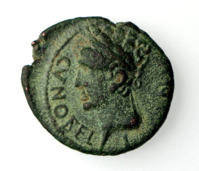 Catuvellauni Cunobelin Bronze Unti 8-41AD-16529