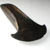 Bronze Age Axe Head-16646