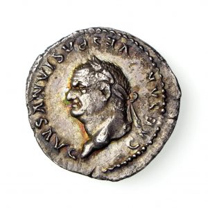 Vespasian Silver Denarius 69-79AD-16715