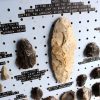 Neolithic Flint Tool Collection - 21 pieces-16977