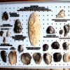Neolithic Flint Tool Collection - 21 pieces-16971