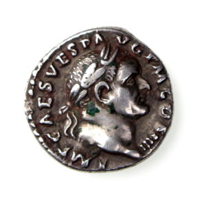 Vespasian Silver Denarius 69-79AD-17245