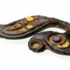 Iron Age Dragonesque Brooch -18041
