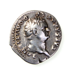 Domitian Silver Denarius 81-96AD Wolf & Twins -18093