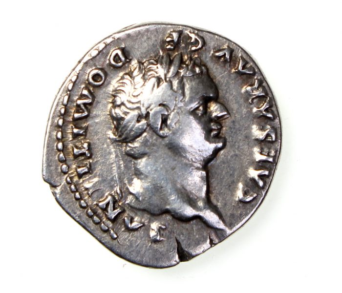 Domitian Silver Denarius 81-96AD Wolf & Twins -18093
