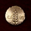 Catuvelluni & Trinovantes Cunobelin 8-41AD Gold Stater Linear type - Image 4