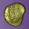 The Borden Hoard Catuvellauni & Trinovantes Cunobelin AD 8-41 Gold Stater Wild Ring type - Image 2
