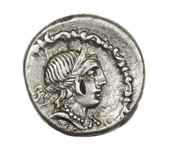 Roman Republic D. Junius L.f.Salanus Silver Denarius 91BC