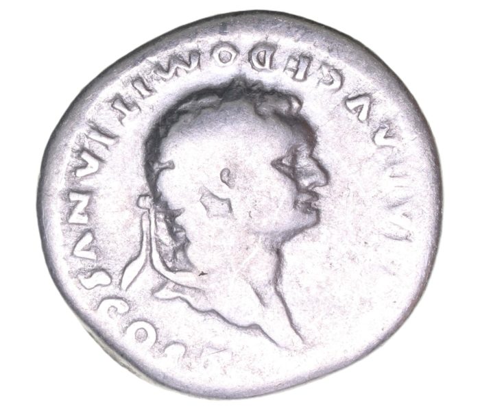 Domitian AD 81-96 Silver Denarius  The Little Busby Hoard