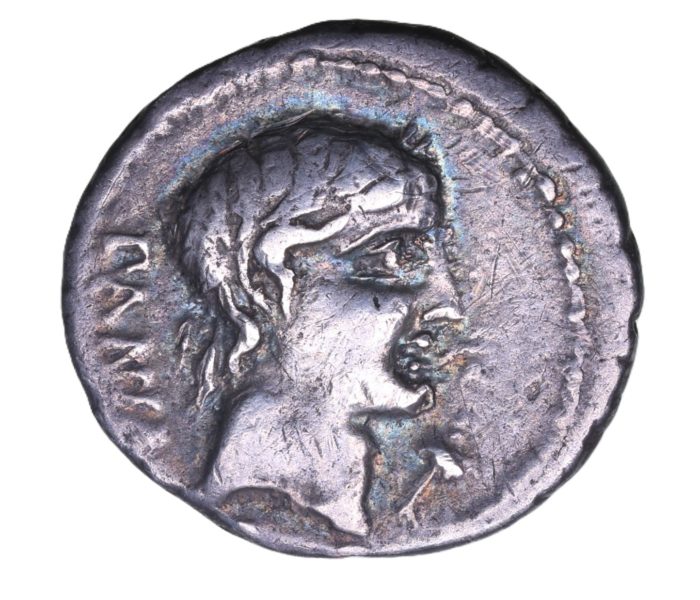 Roman Republic C. Vibius C. F. Pansa 90 BC Silver Denarius