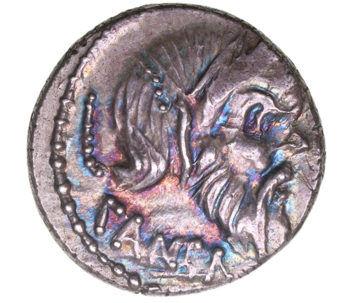 Roman Republic C. Vibius Cf Cn Pansa 48 BC Silver Denarius