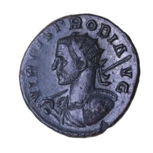Probus AD 276-282 Bronze Antoninianus Medusa on shield *Rare*