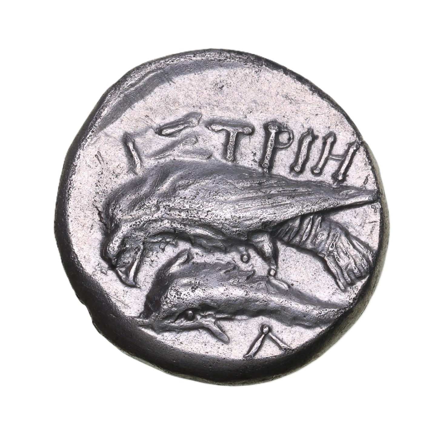 MOESIA Istros 313-280 BC Silver Drachm - Image 2