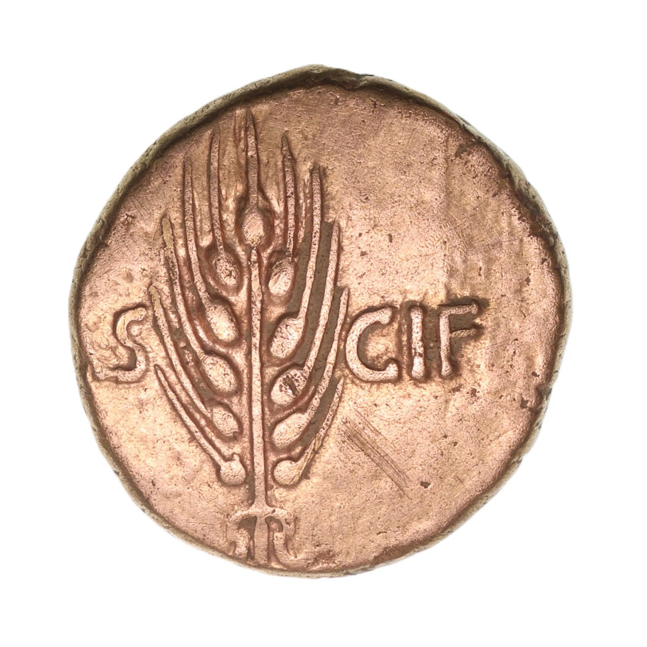 Regini & Atrebates Epaticcus AD 20-40 Gold Stater Corn War Warrior *Extremely Rare* - Image 2