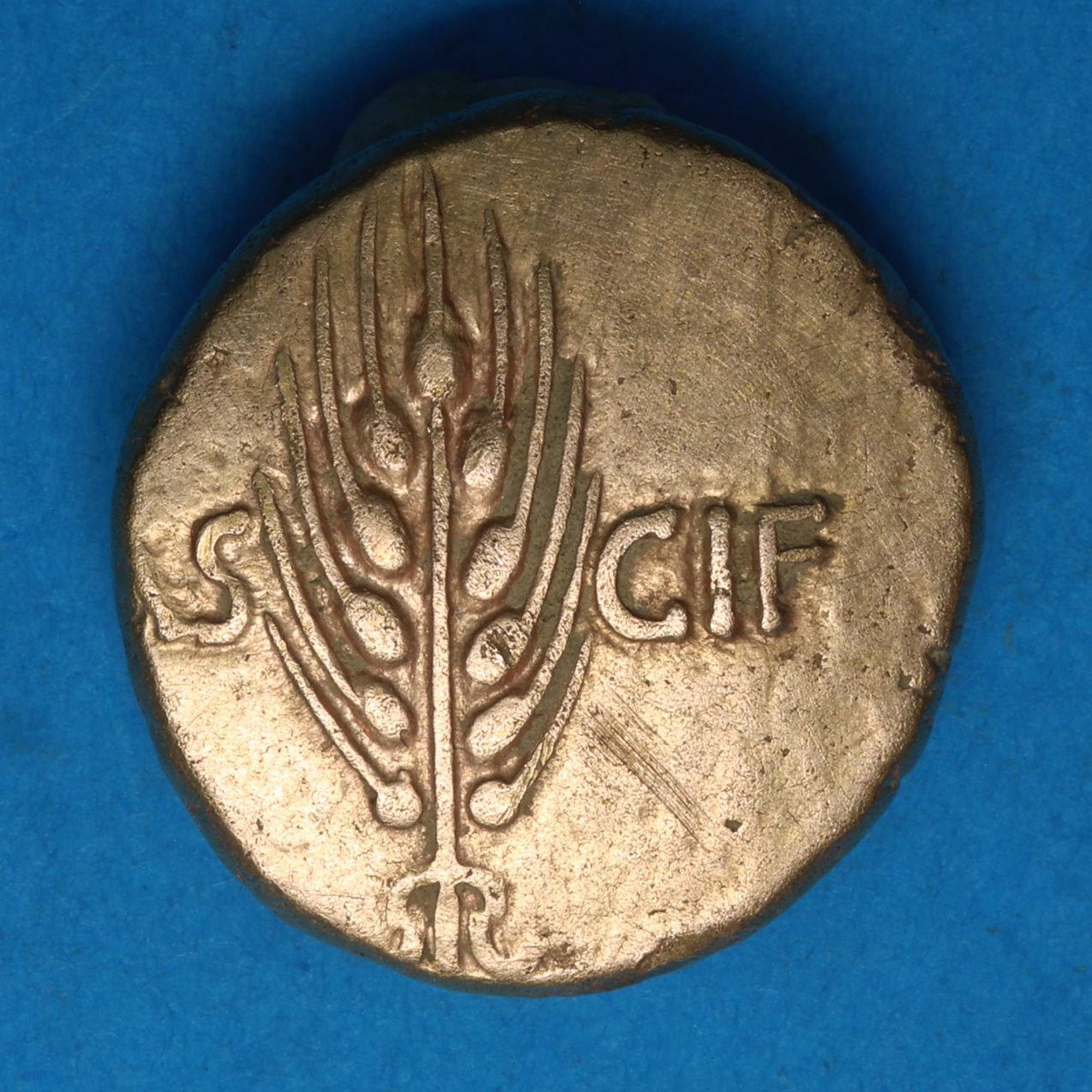 Regini & Atrebates Epaticcus AD 20-40 Gold Stater Corn War Warrior *Extremely Rare* - Image 4