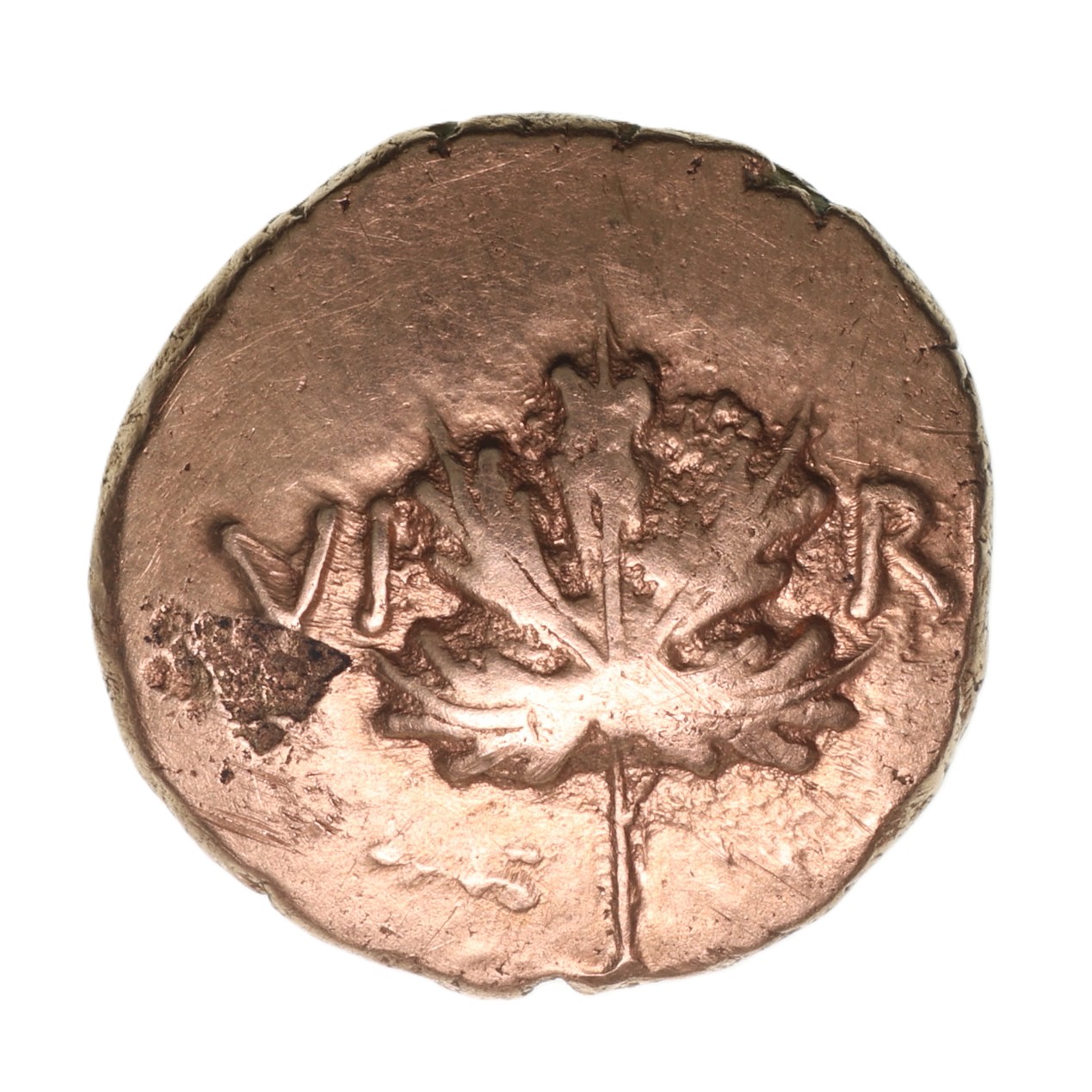 Atrebates Verica Vine Leaf type Gold Stater 10-40AD ex Vine Leaf Hoard - Image 2