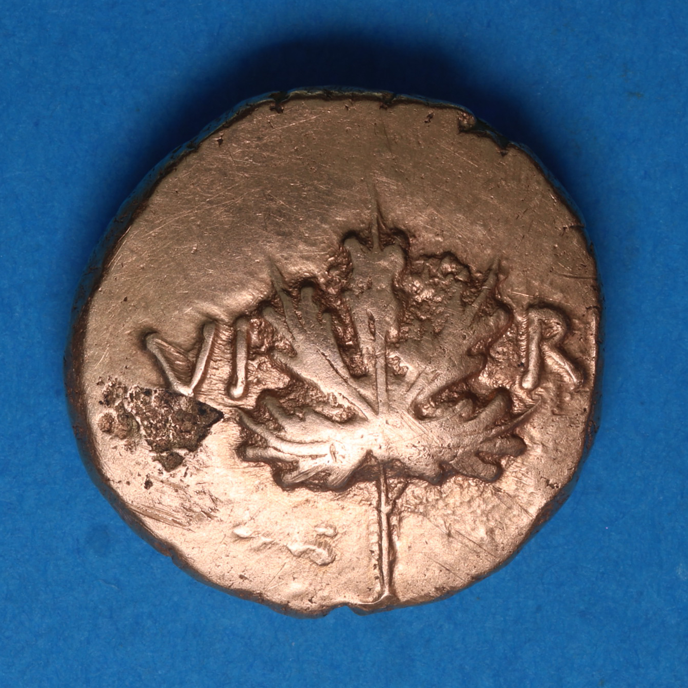 Atrebates Verica Vine Leaf type Gold Stater 10-40AD ex Vine Leaf Hoard - Image 4