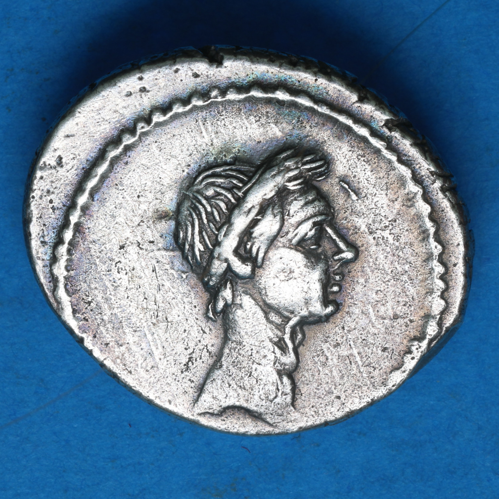 Roman Imperatorial Julius Caesar (died 44 BC) Silver Denarius *Portrait issue* - Image 3