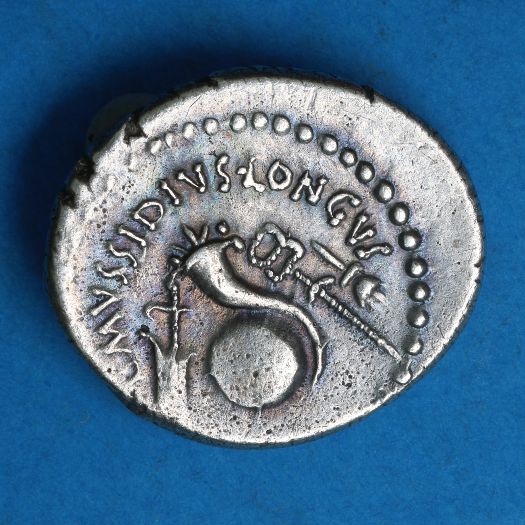 Roman Imperatorial Julius Caesar (died 44 BC) Silver Denarius *Portrait issue* - Image 4