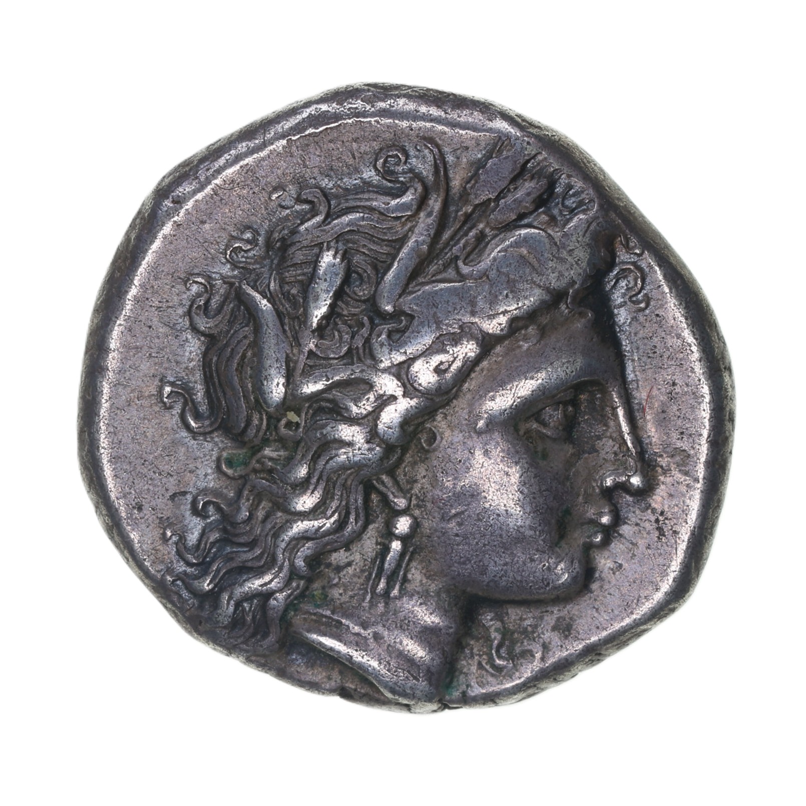 Lucania Metapontion 340-330 BC Silver Didrachm