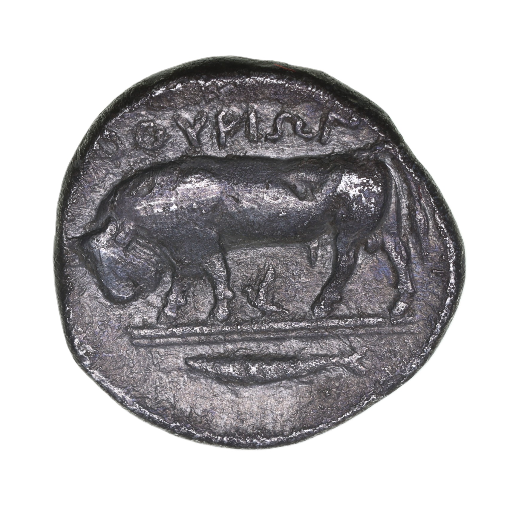 Lucania Thourioi 425-400 BC Silver Nomos - Image 2