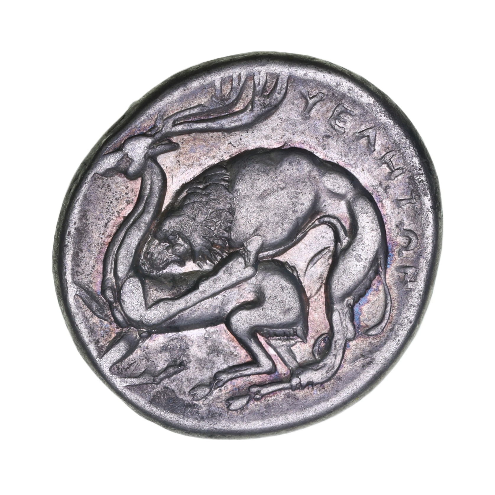 Lucania Velia c280 BC Silver Didrachm - Image 2