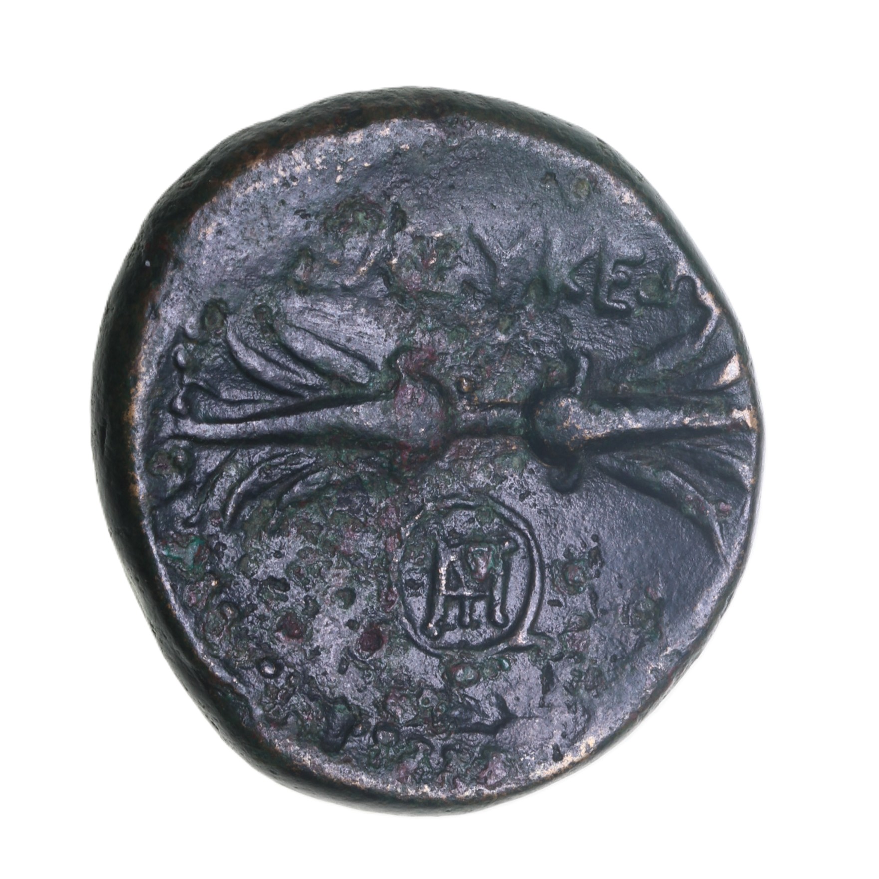 Seleukid Kingdom Seleukos I Nikator 312-281 BC Bronze Ae 24 - Image 2