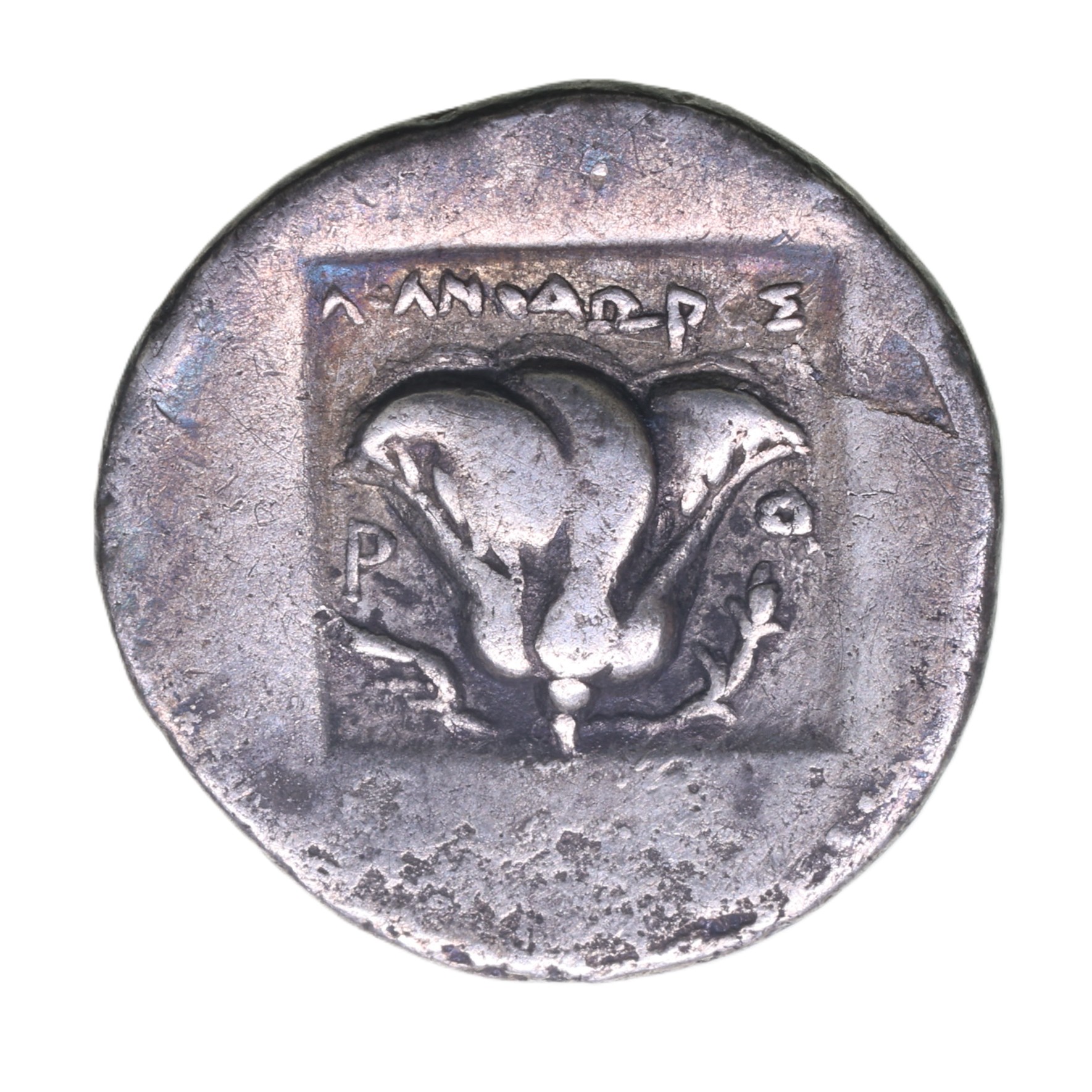 Caria Rhodes 88-84 BC Silver Drachm - Image 2