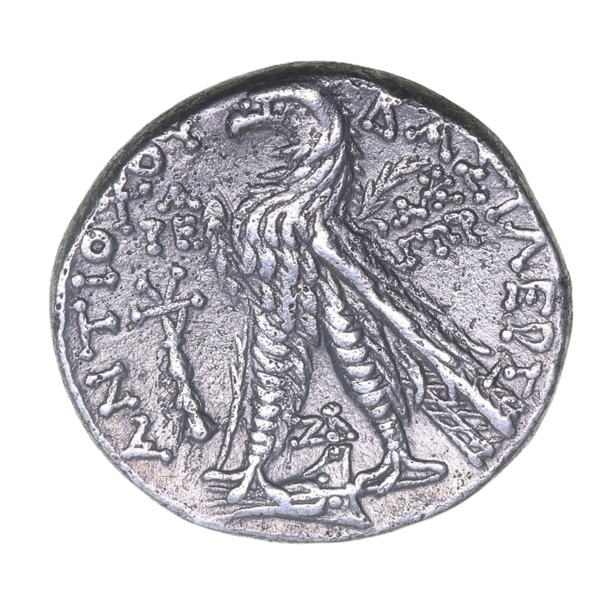 Seleucid Kingdom Antiochus VII Euergetes 138-129 BC Silver Drachm - Image 2