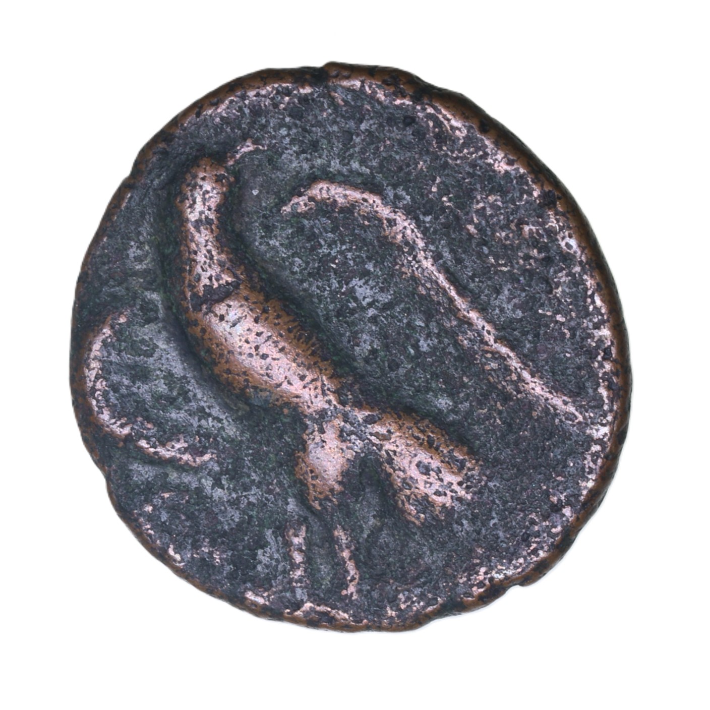 Cantiaci Eppillus c.AD 1-15 Bull and Eagle Bronze Unit *Rare*