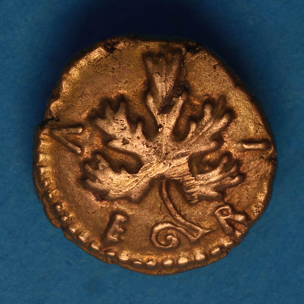 Regini & Atrebates Verica c. AD 10 - 40 Verica Vine Leaf Rex Gold Quarter Stater *Excessively Rare* - Image 4