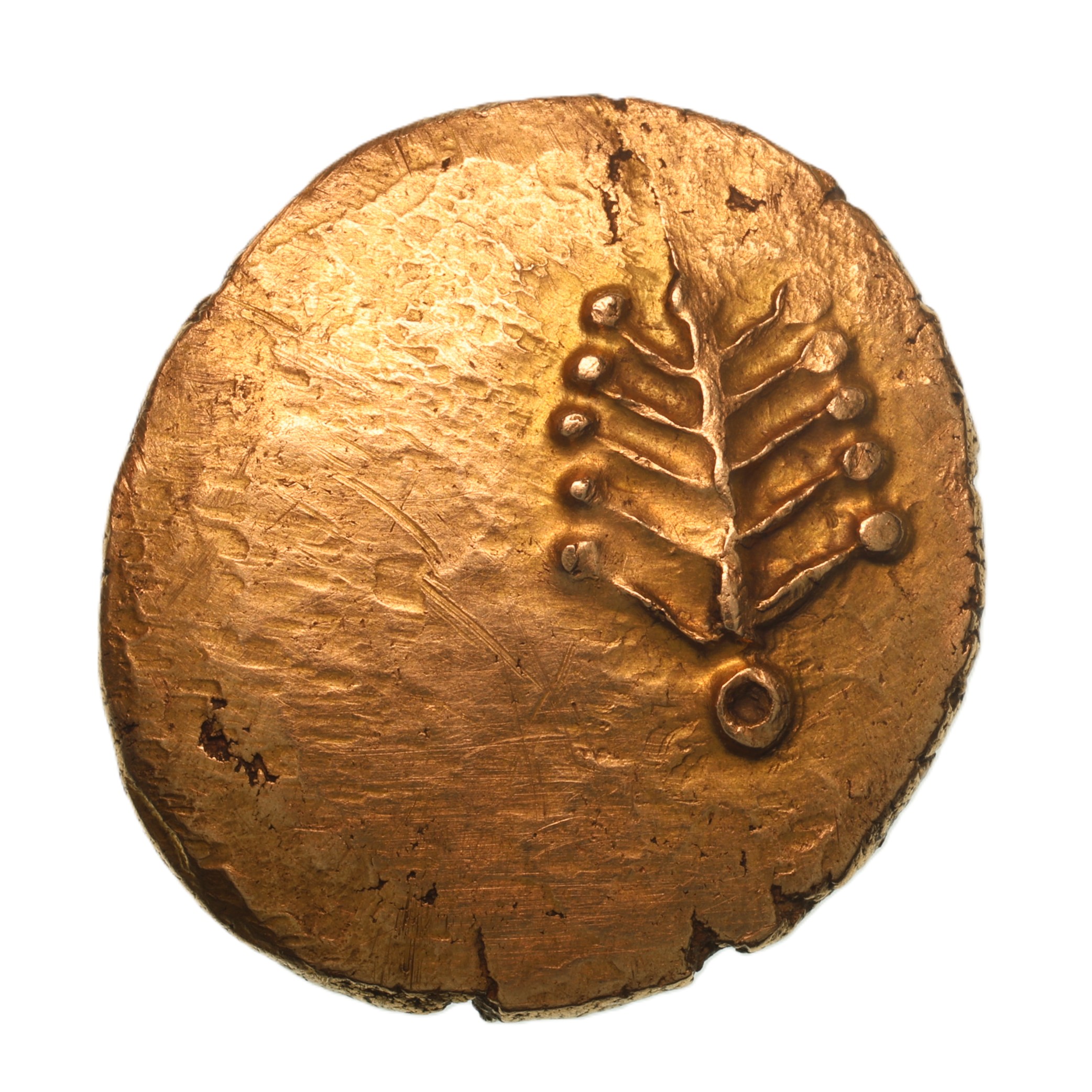 Dobunni 1st Century BC Tribal Tree Gold Stater *Very Rare* - Image 2