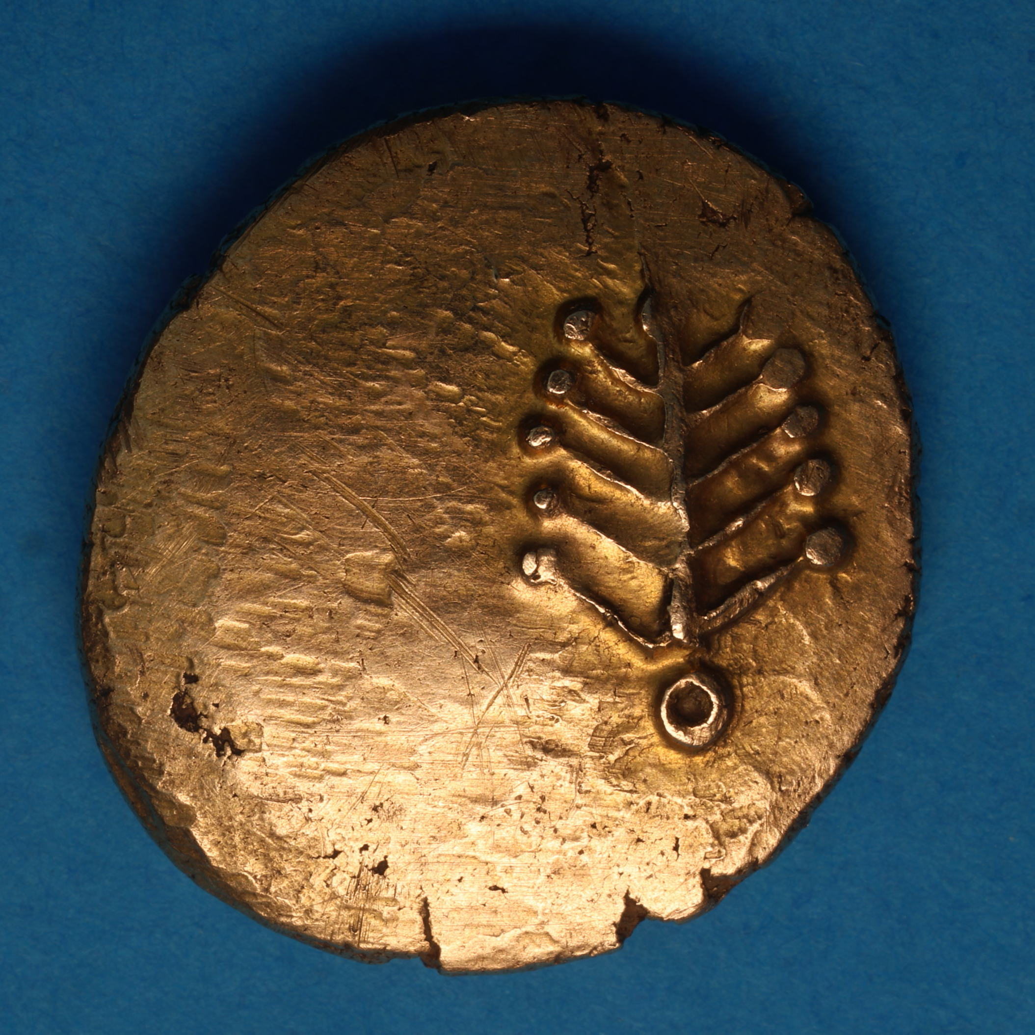 Dobunni 1st Century BC Tribal Tree Gold Stater *Very Rare* - Image 4