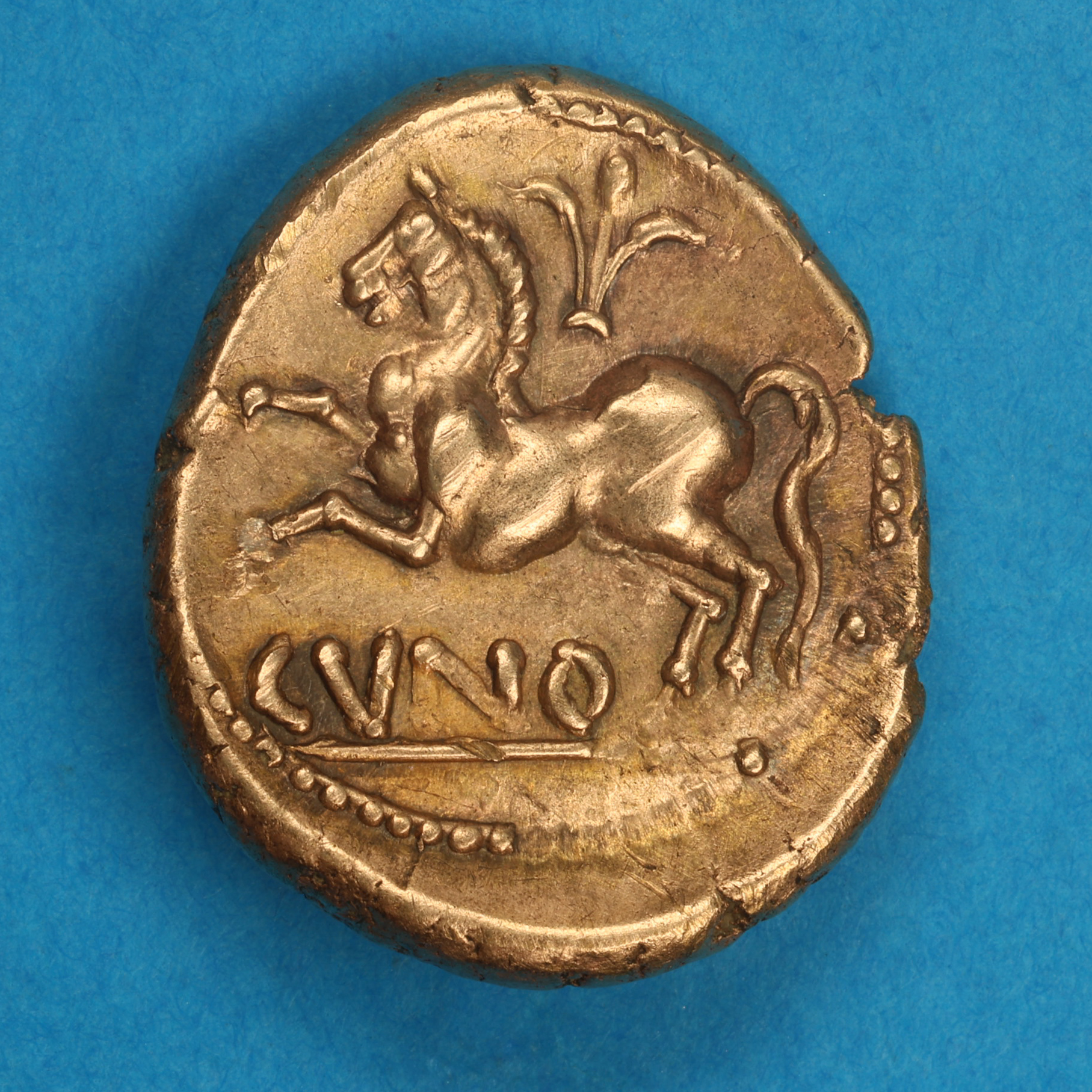 Catuvellauni & Trinovantes Cunobelinus c. AD 8-40 Classic Left Type Gold Stater *Scarce* - Image 5