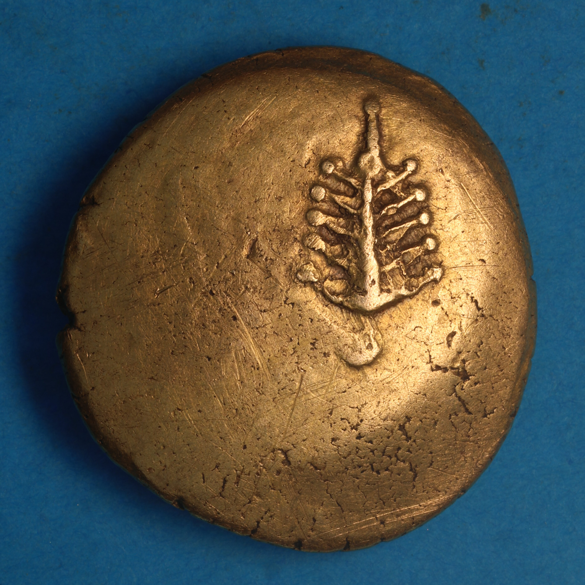 Dobunni 1st Century BC Gold Stater Tribal Tree *Very Rare* - Image 4