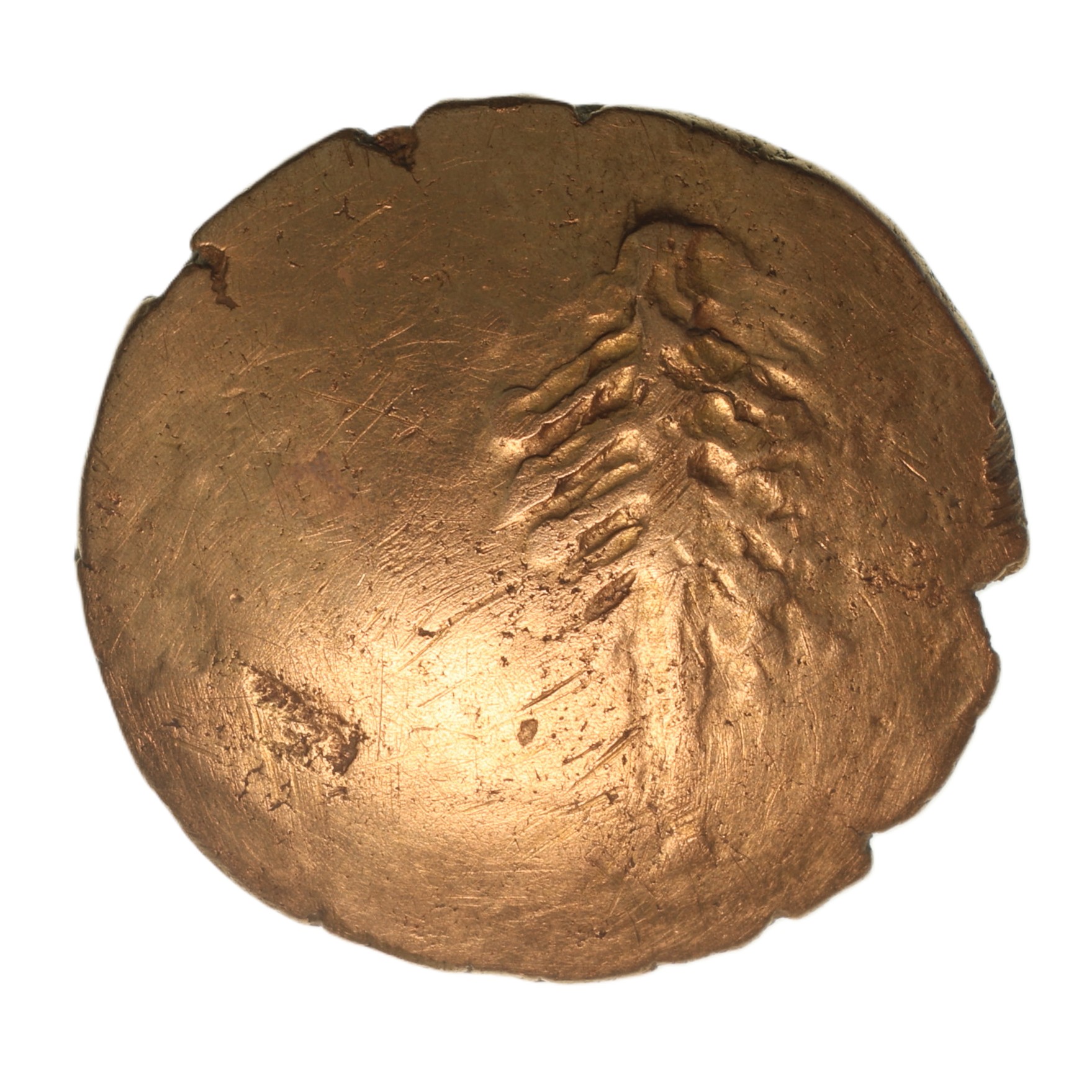 Dobunni Corio C.20 BC-AD 5 Gold Stater Corio Tree - Image 2