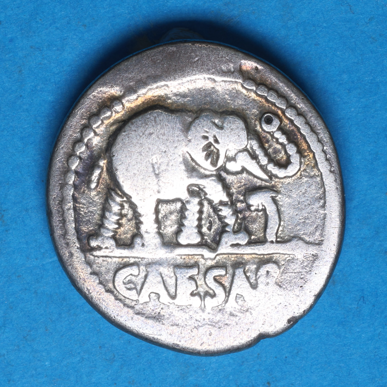 Roman Imperatorial Julius Caesar 49 BC Silver Denarius - Image 3