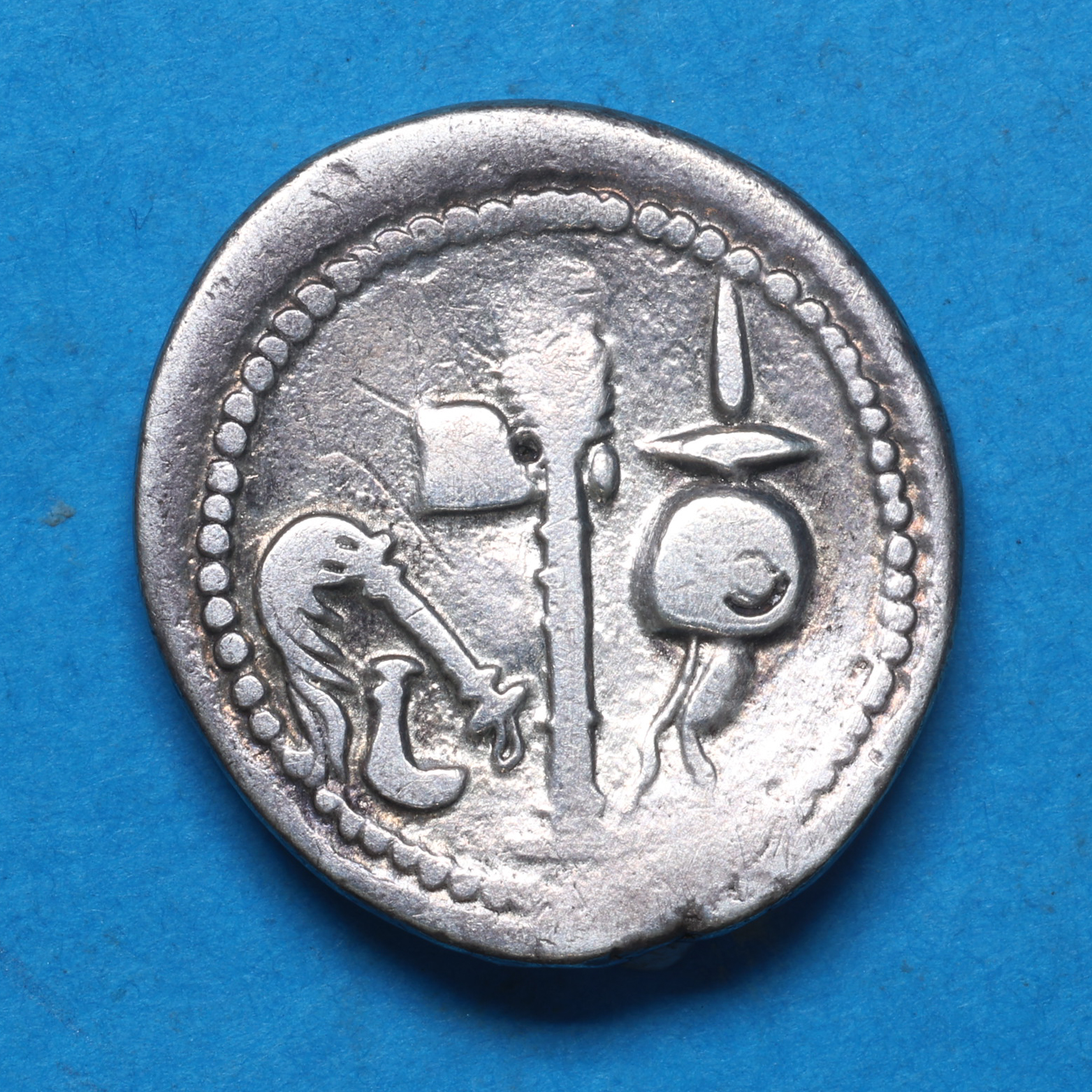 Roman Imperatorial Julius Caesar 49 BC Silver Denarius - Image 4