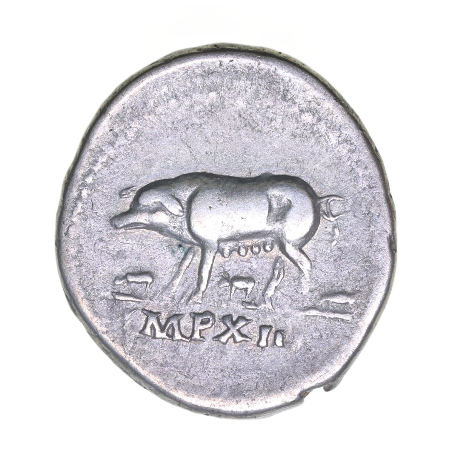 Titus AD 79-81 Silver Denarius Rome - Image 2