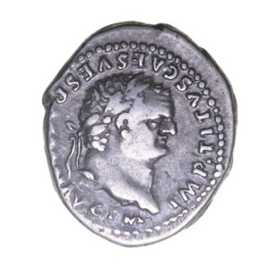 Titus AD 79-81 Silver Denarius Rome Elephant