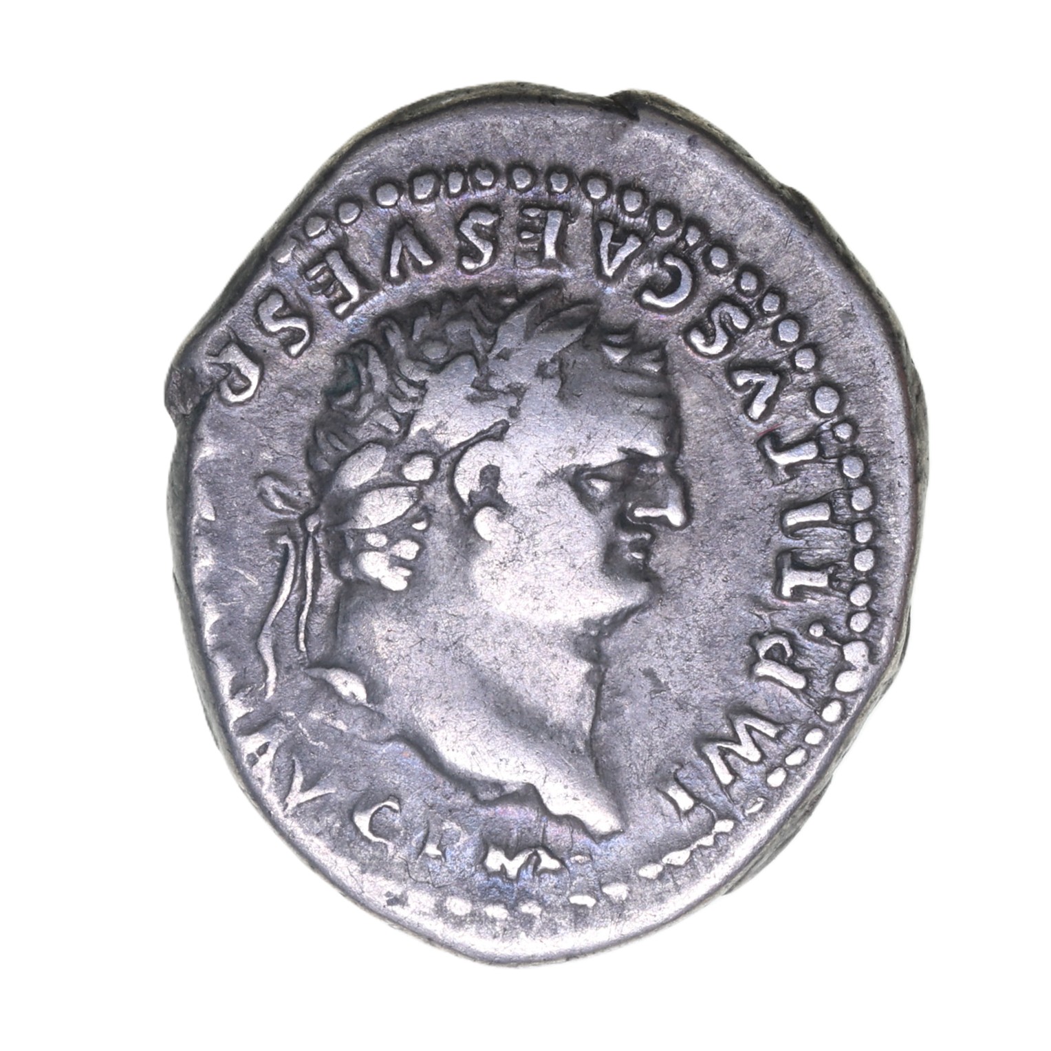 Titus AD 79-81 Silver Denarius Rome Elephant
