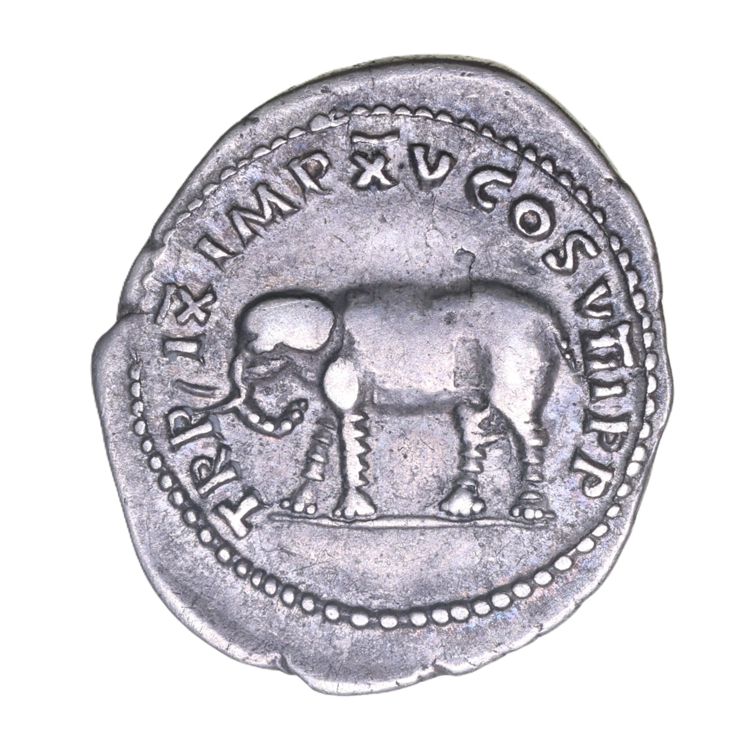 Titus AD 79-81 Silver Denarius Rome Elephant - Image 2