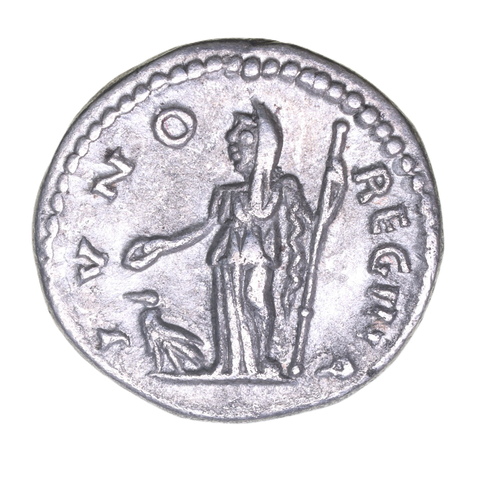Julia Domna wife of Septimius Severus AD 193-211 Silver Denarius Laodicea - Image 2