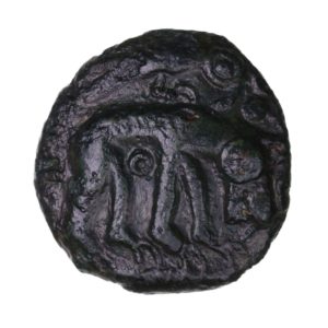 Cantiaci 1st Century BC Bear and Bull Bronze Unit *Rare*