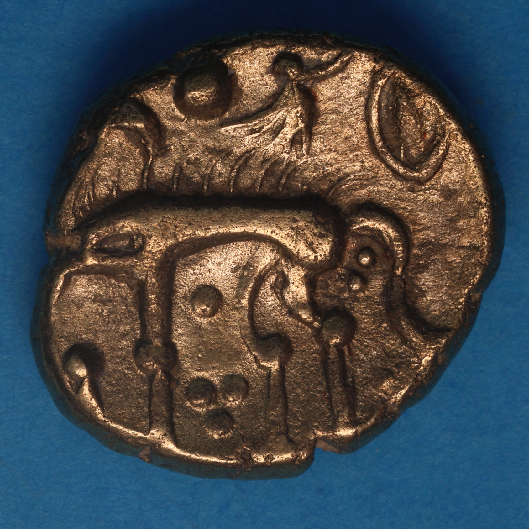 Iceni 1st Century BC Norfolk Wolf Left Type Gold Stater - Image 3