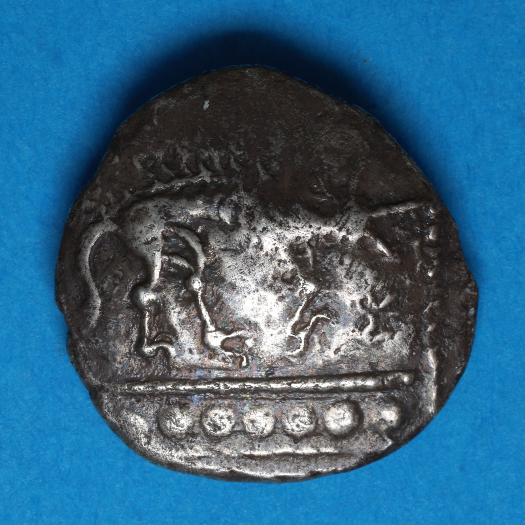 Corieltavi late 1st Century BC Lincolnshire Wolf Silver Unit Rich 8 *Extremely Rare* - Image 3