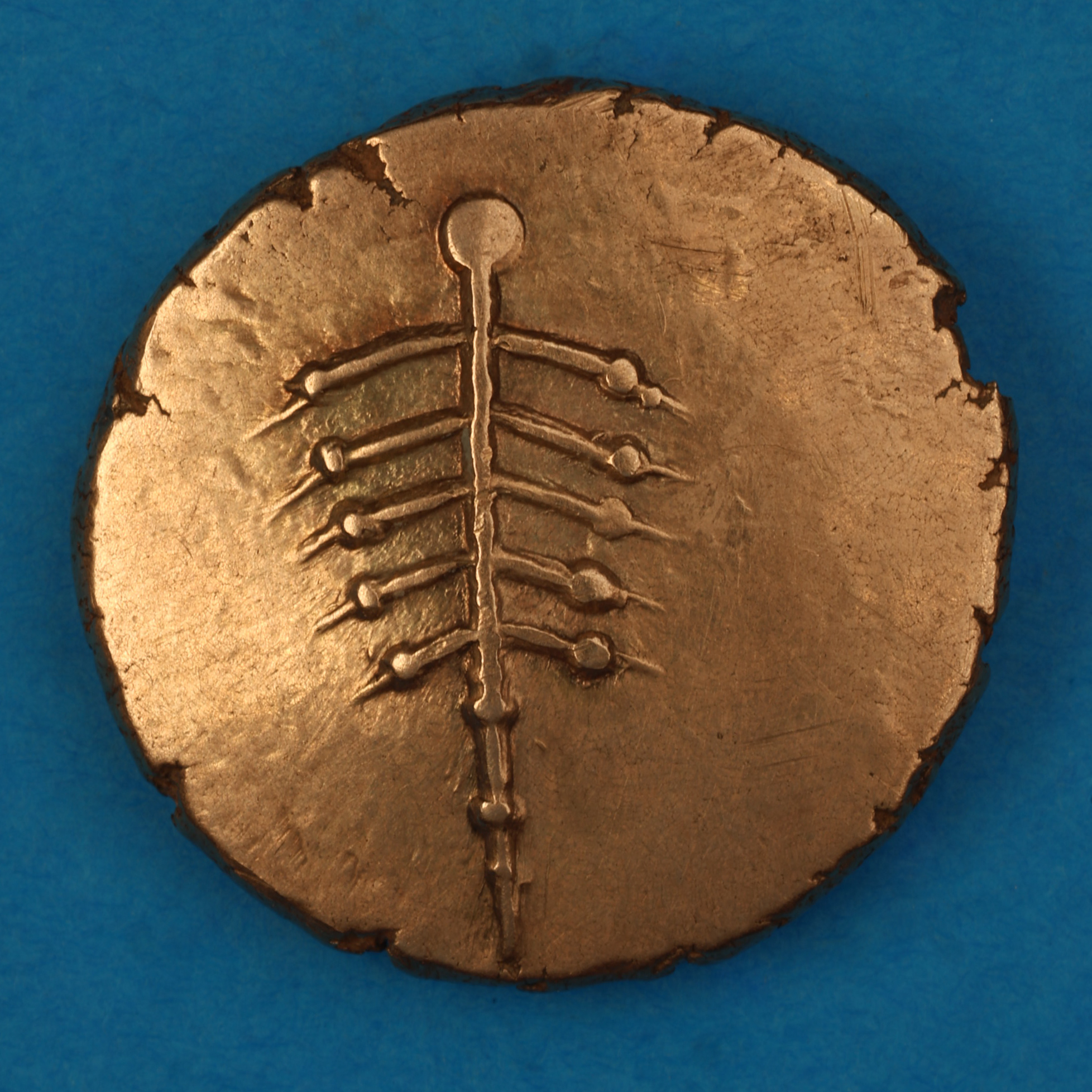 Dobunni Anted c. AD 20-43 Anted Rig Gold Stater *Scarce* - Image 4