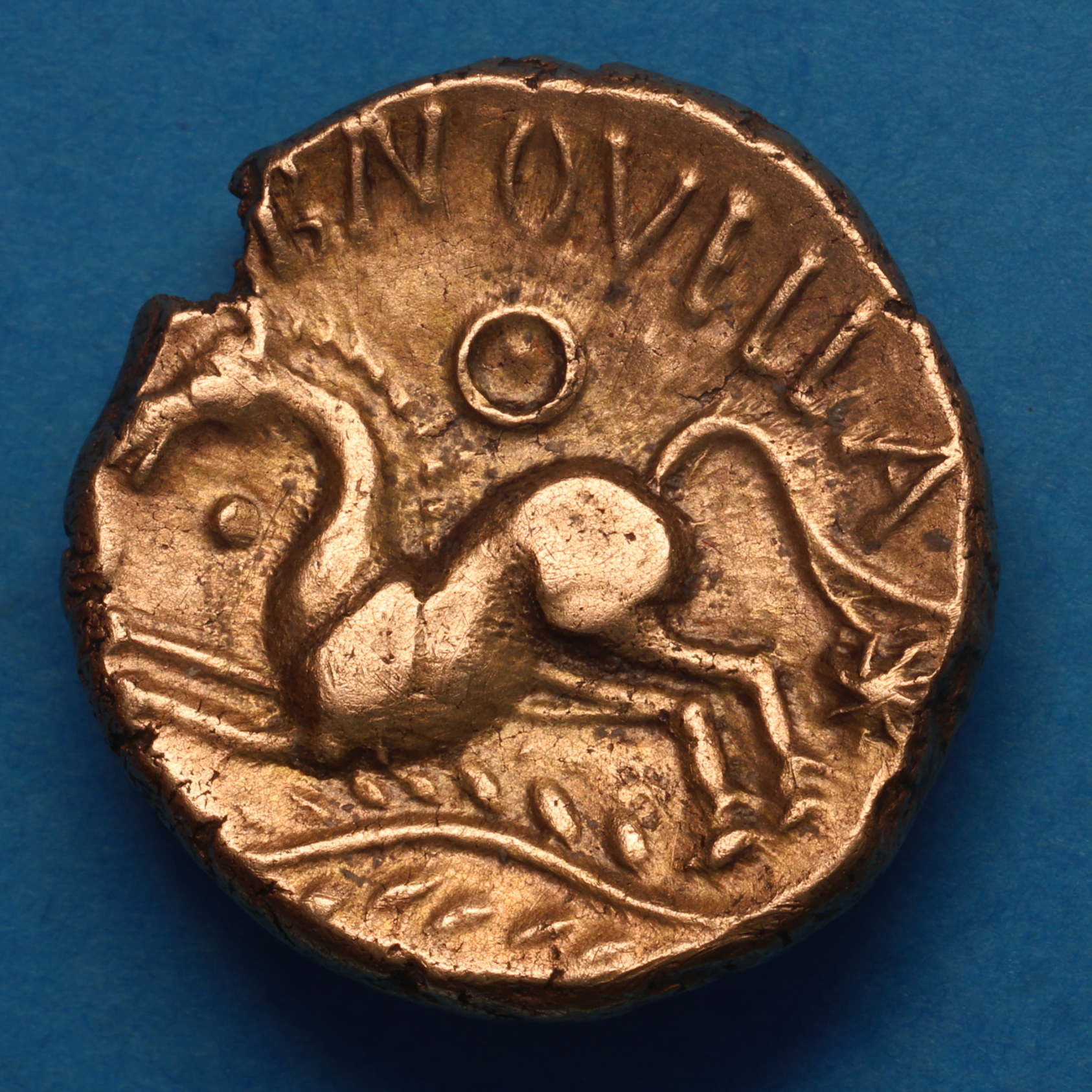 Trinovantes Dubnovellaunos c. 5 BC-AD 10 D. Branch Gold Stater *Scarce* - Image 3