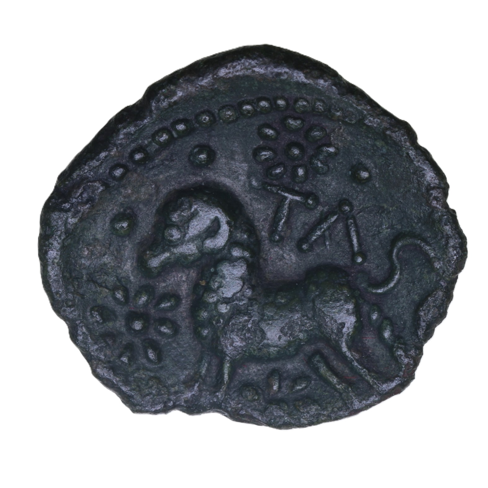 Catuvellauni Tasciovanos c. 25 BC-AD 10 Jugate busts Bronze Unit *Very Rare* - Image 2